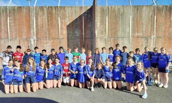 Pupils taking part in a school hurling activity